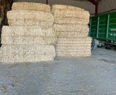 Pre Chopped Straw Bales