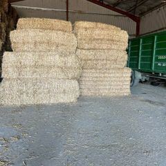 Pre Chopped Straw Bales