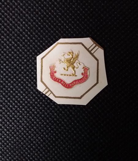O'Dwyer Family Crest : Rare Embossed Victorian Paper Crest