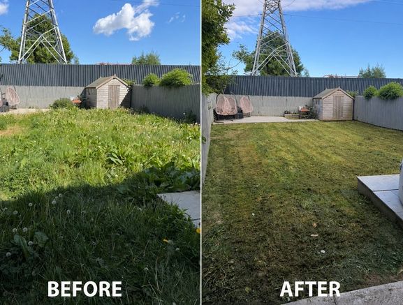 Grass Cutting service