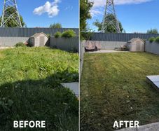 Grass Cutting service