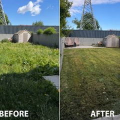 Grass Cutting service