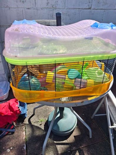 free hamster cage