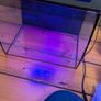 Fluvial 34l fish tank Image 4