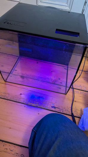 Fluvial 34l fish tank