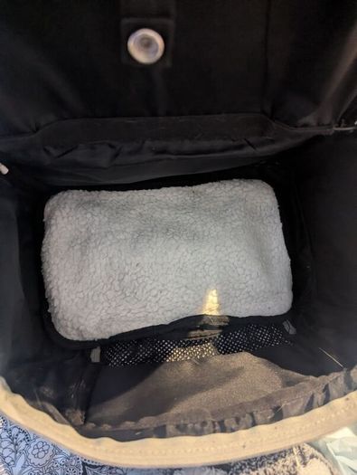 Sightseer Backpack Pet Carrier