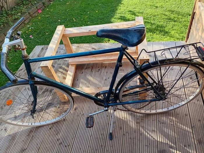 adults bike