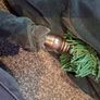 Uilleann Pipes Image 7