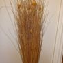 Dried Flowers Image 2