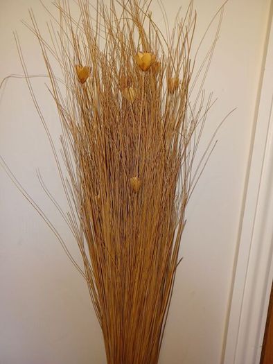 Dried Flowers