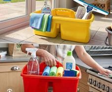 cleaner/cleaning house