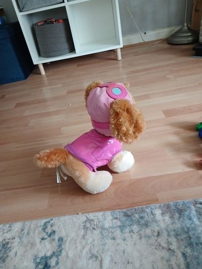 sky build a bear
