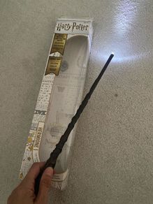 Harry Potter Hermione wand maynooth