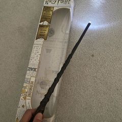 Harry Potter Hermione wand maynooth