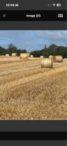 Wheaten and Rye straw
