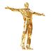 goldenboy4