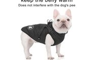 Dog Winter Jacket, Black, Size M