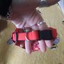 small bandana dog collar Image 3