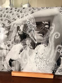 Bjork - Vespertine (Limited Edition)