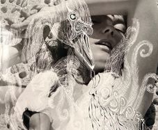 Bjork - Vespertine (Limited Edition)