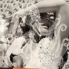 Bjork - Vespertine (Limited Edition)