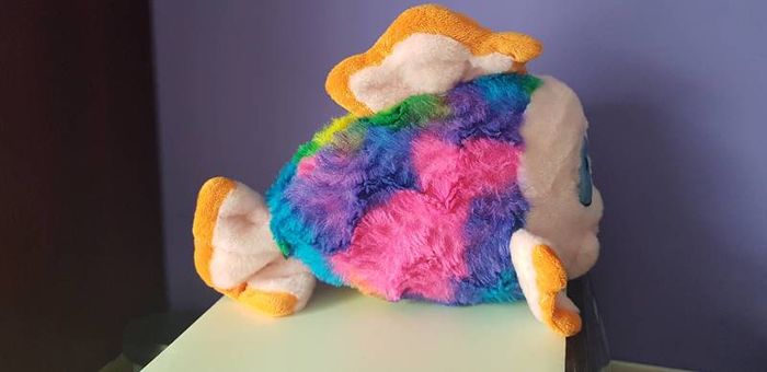 rainbow soft fish