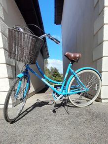 Ladies Bike