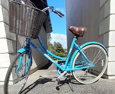 Ladies Bike