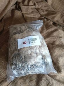 Raw Greasy BFL Spinning Wool