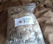 Raw Greasy BFL Spinning Wool