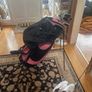 Prosimmon Pink Golf Bag Stand with Foot Joy Ladies Golf Shoes Size 39 Image 2