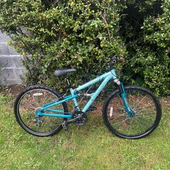 bike