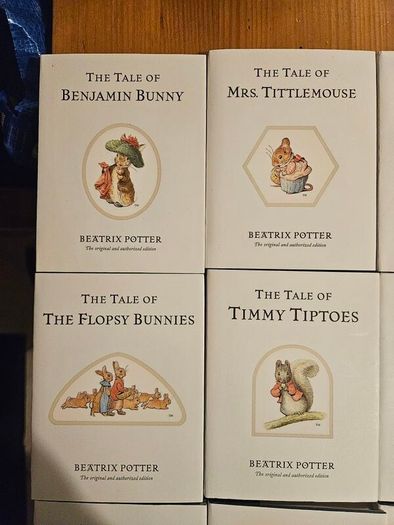 The World Of Peter Rabbit Box One By Beatrix Potter. 12 beautifully illustrated books in Beautiful Illustrated Carring Case. All In Very Good Condition.  See Photos For Same.