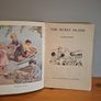 The Secret Island by Enid Blyton Image 2