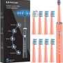 Electric Toothbrush for Adults and Kids - PHYLIAN H7 Rechargeable Whitening Toothbrush with 8 Duponts Brush Heads, 5 Modes, 3 Hours Fast Charge for 120 Days MULTIPLE COLOURS AVAILABLE (FREE POSTAGE) Image 5