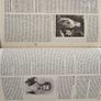 Britannica Image 9