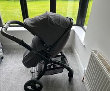Egg Travel System