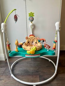 Fisher-Price Baby Jumperoo