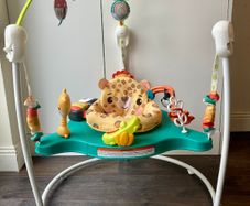Fisher-Price Baby Jumperoo