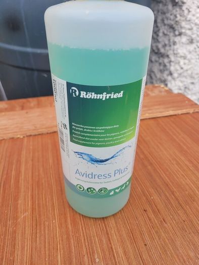 bird