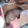 Mercedes e class headlight shell Image 3