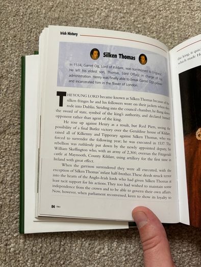 Irish History: From Prehistoric Times to the Present Day by Seamas Mac Annaidh
