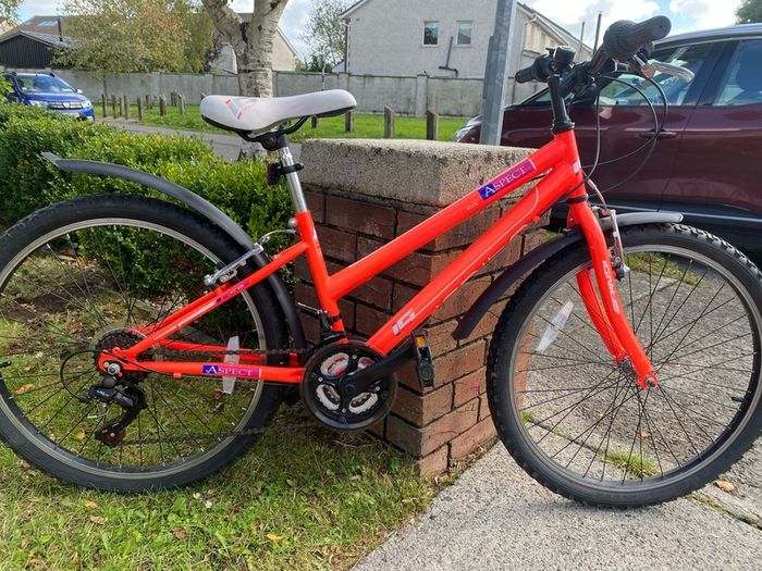 Girls Mountain Bike 24 inches Great Condition