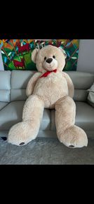 Huge Teddy