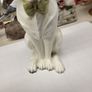 Dog ornament Image 6
