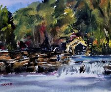 salmon leap leixlip watercolour
