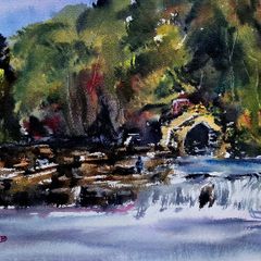 salmon leap leixlip watercolour