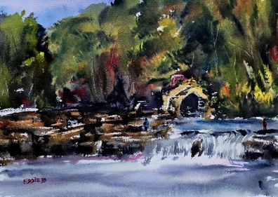 salmon leap leixlip watercolour