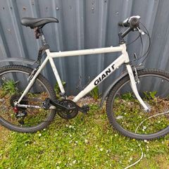 Giant Bike, new 11-42 Cassette, Shimano Deore