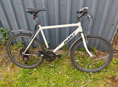 Giant Bike, new 11-42 Cassette, Shimano Deore